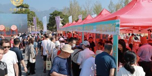 山东打响“齐鲁粮油”品牌 推动粮食产业高质量发展